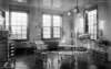 dsh_hist_005_small.jpg