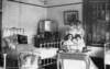 dsh_hist_021_small.jpg