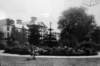 dsh_hist_068_small.jpg