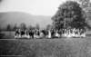 dsh_hist_033_small.jpg