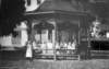 dsh_hist_034_small.jpg
