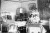 dsh_hist_046_small.jpg