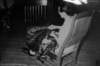 dsh_hist_053_small.jpg