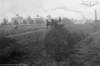 dsh_hist_055_small.jpg