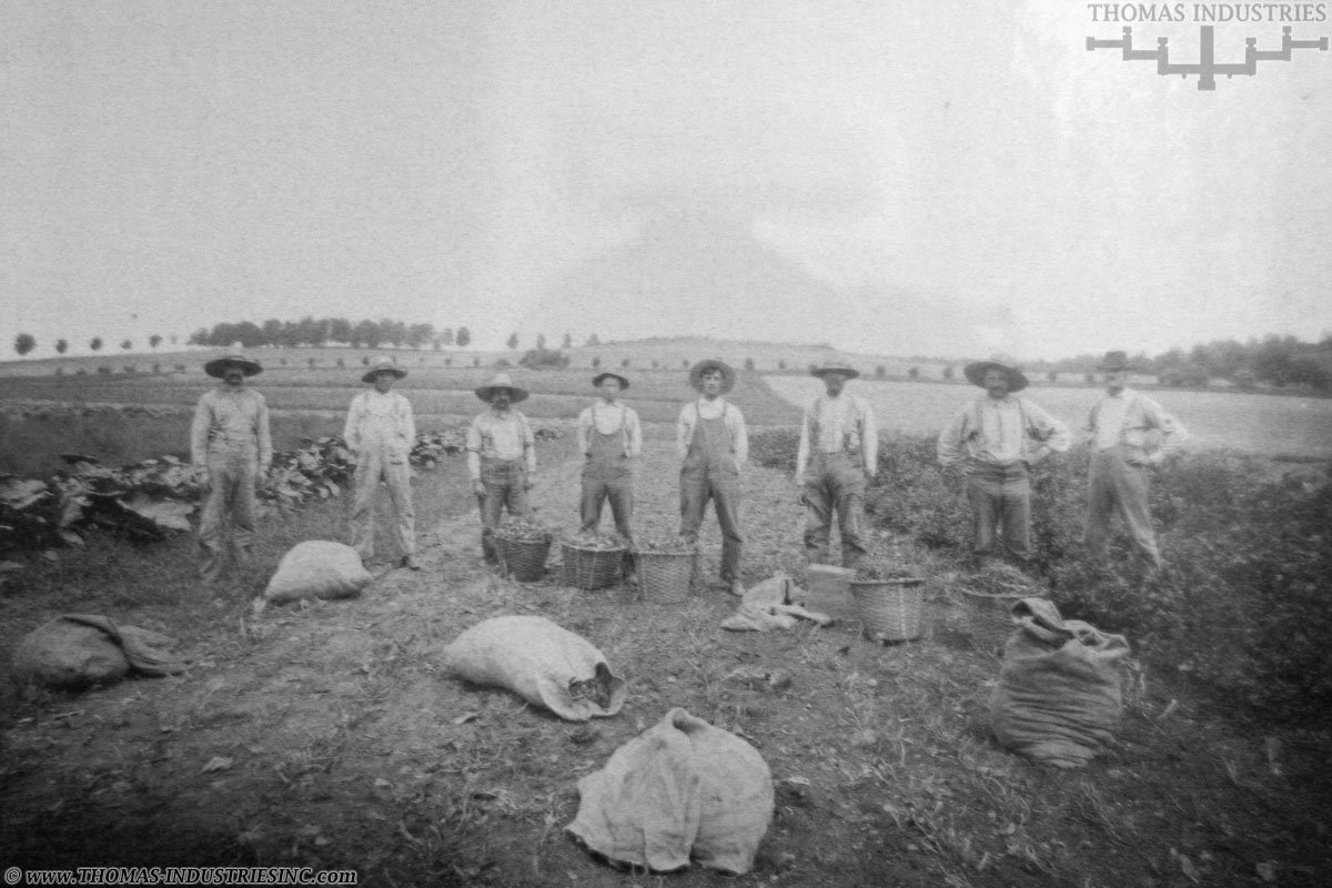 dsh_hist_074.jpg
