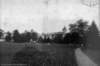 dsh_hist_076_small.jpg