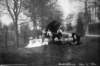 dsh_hist_079_small.jpg