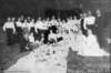 dsh_hist_084_small.jpg