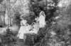 dsh_hist_087_small.jpg