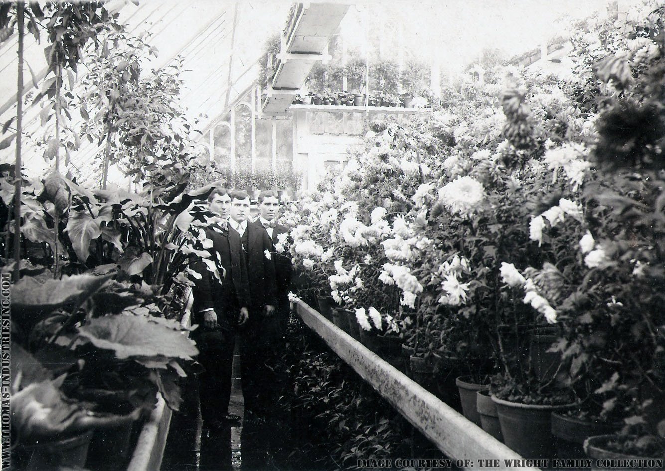 dsh_hist_091.jpg